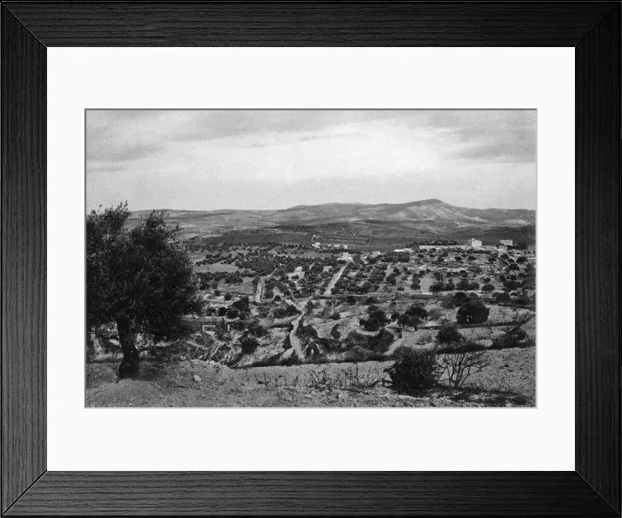 Framed Print : Field of the Shepherds, Bethlehem Framed Print : Field of the Shepherds, Bethlehem