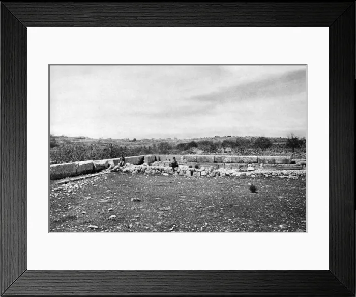 Framed Print : Oak grove of Mamre, Holy Land Framed Print : Oak grove of Mamre, Holy Land
