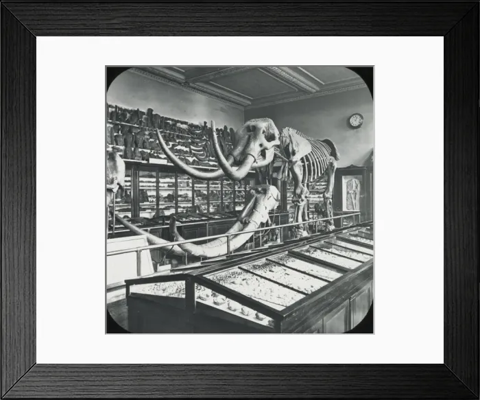 Framed Print : The Roman Biga, from the Vatican Framed Print : The Roman Biga, from the Vatican