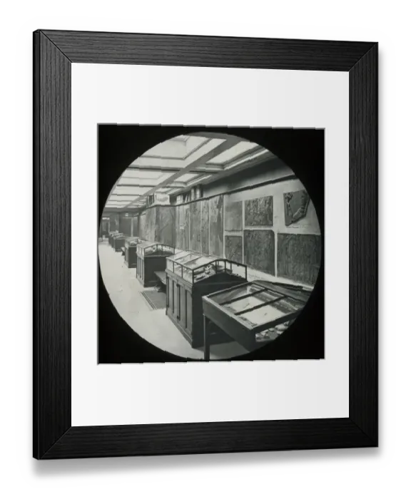 Framed Print : The Nimrod Gallery, looking North (British Museum) Framed Print : The Nimrod Gallery, looking North (British Museum)