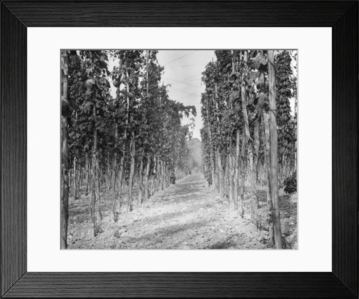 Framed Print : Halfway Street Farm Framed Print : Halfway Street Farm