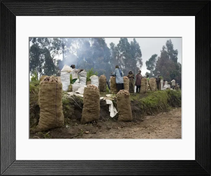Framed Print : Potato farmers waiting for collectors Framed Print : Potato farmers waiting for collectors