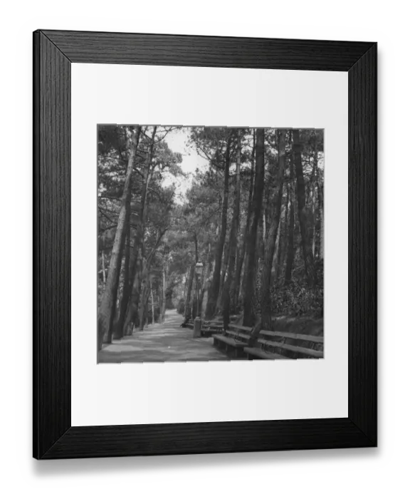 Framed Print : South Coast of England - Invalids Walk Framed Print : South Coast of England - Invalids Walk