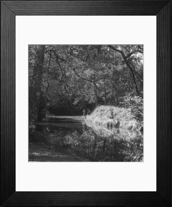 Framed Print : South Coast of England - Branksome Chise Framed Print : South Coast of England - Branksome Chise