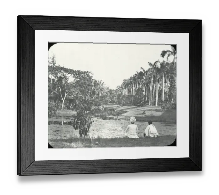 Framed Print : India - In The Botanic Gardens Framed Print : India - In The Botanic Gardens