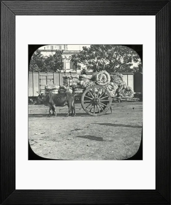 Framed Print : India - Country Cart Framed Print : India - Country Cart