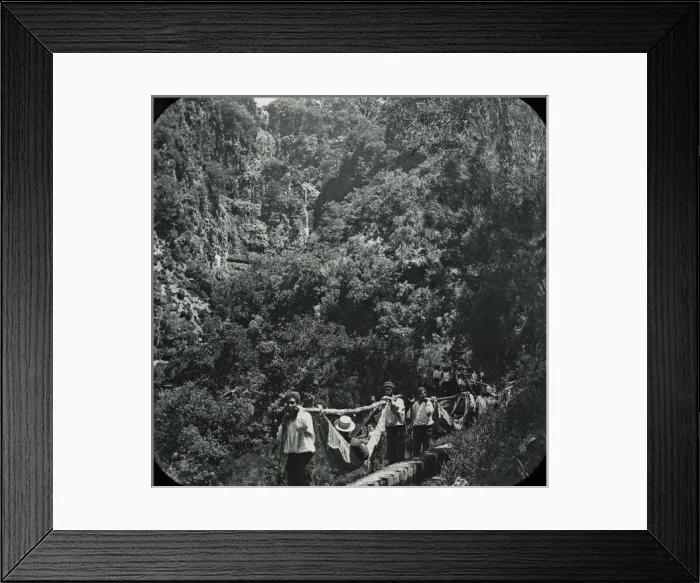 Framed Print : Visit to Madeira - Rabacal - Hammock Ride Resumed Framed Print : Visit to Madeira - Rabacal - Hammock Ride Resumed