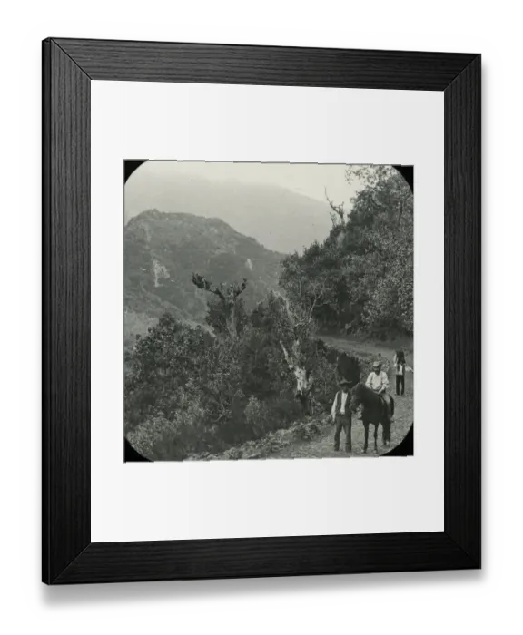Framed Print : Visit to Madeira - In the Ribiero Frio Framed Print : Visit to Madeira - In the Ribiero Frio