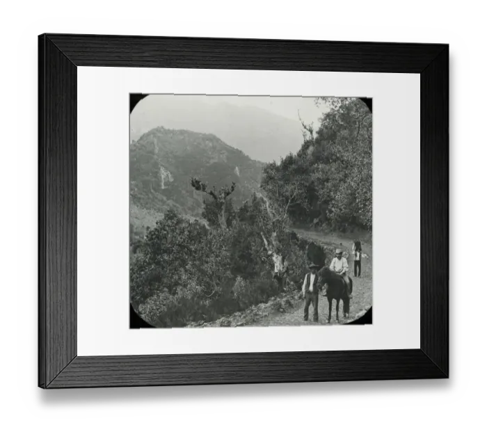 Framed Print : Visit to Madeira - In the Ribiero Frio Framed Print : Visit to Madeira - In the Ribiero Frio