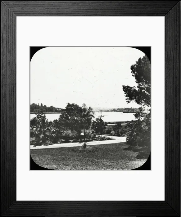 Framed Print : Sydney, Australia - Farm Cove, from Botanical Gardens Framed Print : Sydney, Australia - Farm Cove, from Botanical Gardens
