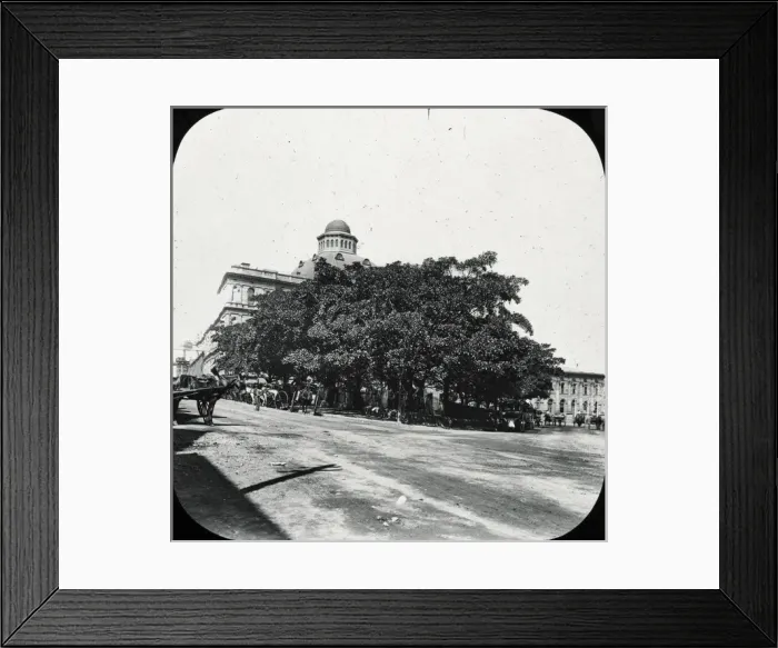 Framed Print : Sydney, Australia - Macquarie Place Framed Print : Sydney, Australia - Macquarie Place
