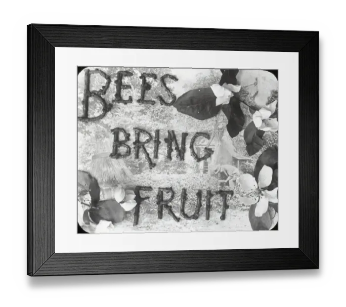 Framed Print : Beekeeping Lantern Slide series Framed Print : Beekeeping Lantern Slide series