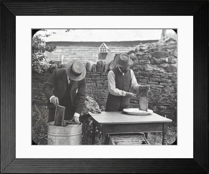 Framed Print : Beekeeping Lantern Slide series Framed Print : Beekeeping Lantern Slide series