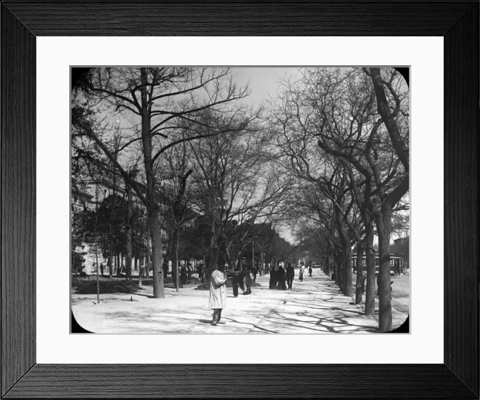 Framed Print : Spain - Passeo de Recoletos, Madrid Framed Print : Spain - Passeo de Recoletos, Madrid