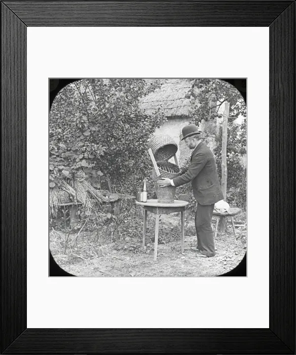 Framed Print : Beekeeping Lantern Slide series Framed Print : Beekeeping Lantern Slide series