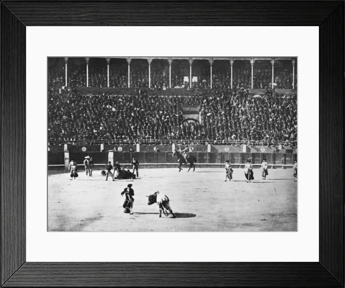 Framed Print : Spain - Bull Fighting - Un Quinto de Gallo Framed Print : Spain - Bull Fighting - Un Quinto de Gallo