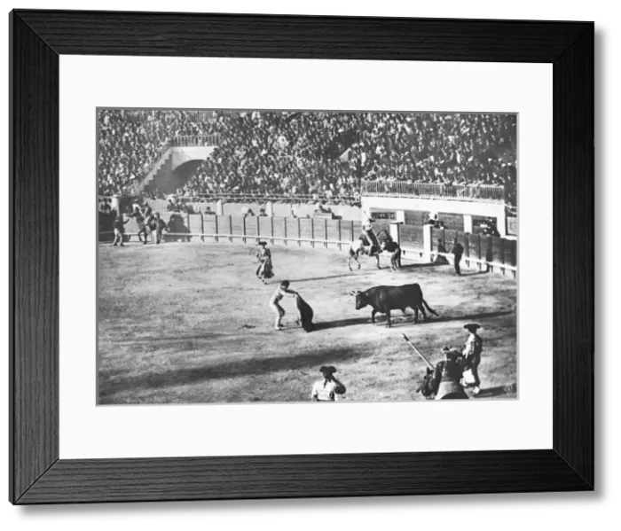 Framed Print : Spain - Bull Fighting - Suerte de Capa Framed Print : Spain - Bull Fighting - Suerte de Capa