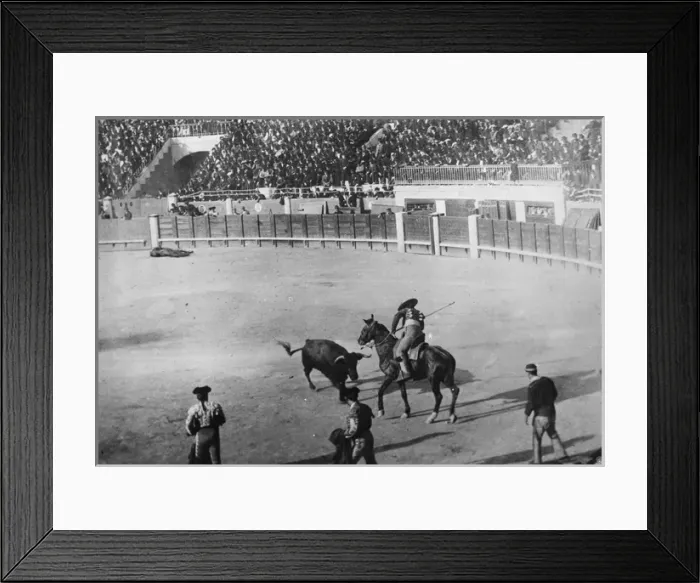 Framed Print : Spain - Bull Fighting - The Bull Attacking the Picador Framed Print : Spain - Bull Fighting - The Bull Attacking the Picador