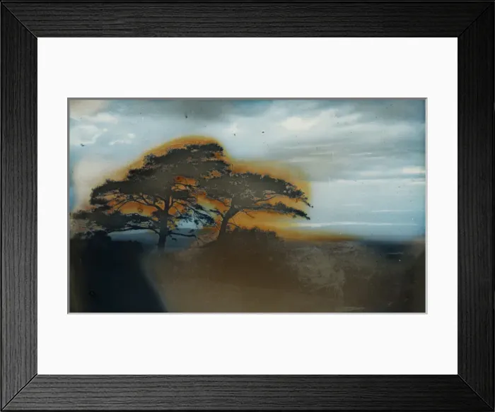 Framed Print : Bleak Landscape Framed Print : Bleak Landscape
