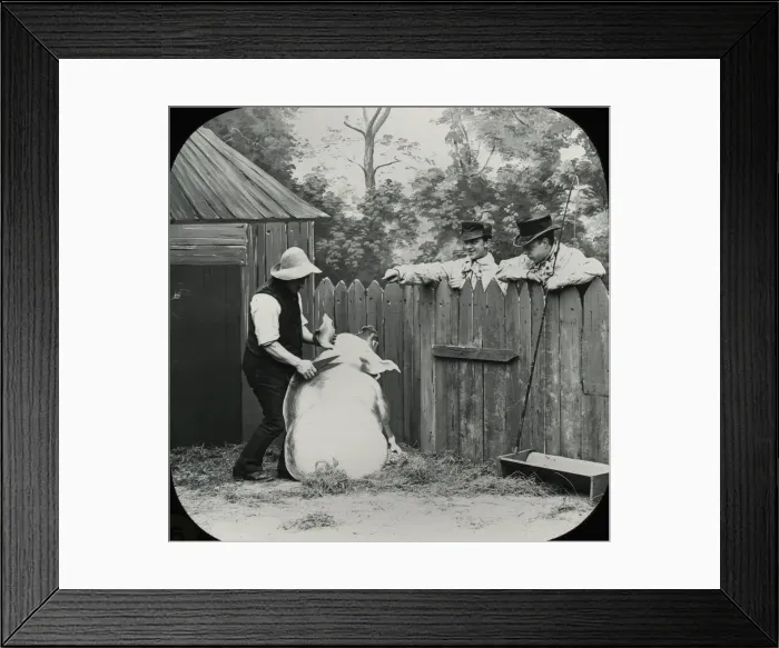 Framed Print : Favourite Sayings - Great cry and little wool Framed Print : Favourite Sayings - Great cry and little wool