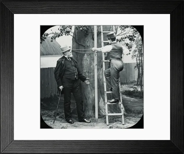 Framed Print : Favourite Sayings - Bend the sapling Framed Print : Favourite Sayings - Bend the sapling