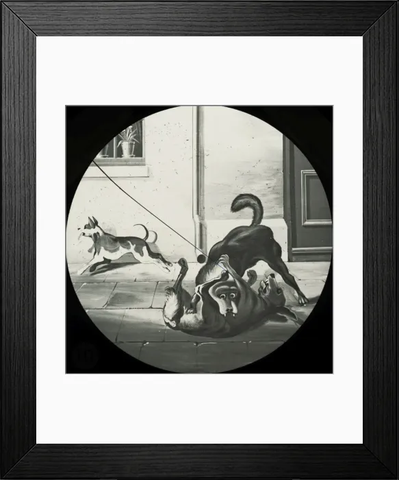 Framed Print : Favourite Sayings - Fight for a bone Framed Print : Favourite Sayings - Fight for a bone