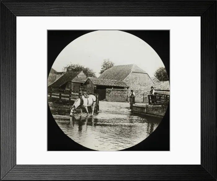 Framed Print : British Country Scene - Horse drinking from water Framed Print : British Country Scene - Horse drinking from water