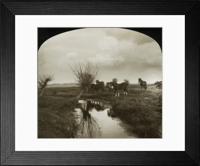 Framed Print : British Country Scene - By the stream Framed Print : British Country Scene - By the stream