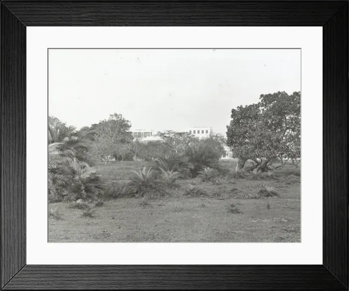 Framed Print : India - Government House from the Park, Madras Framed Print : India - Government House from the Park, Madras