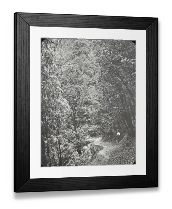 Framed Print : India - Path in Mashabra Framed Print : India - Path in Mashabra
