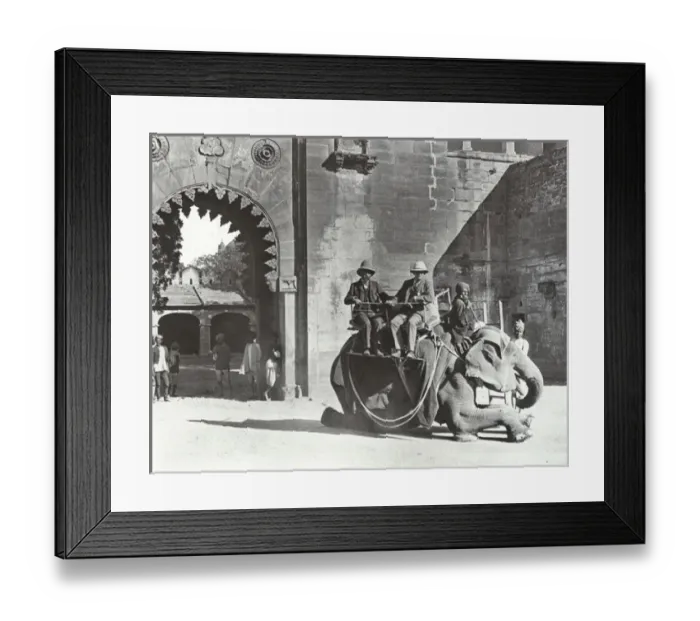 Framed Print : India - Elephant travelling - the start, Gwalior Framed Print : India - Elephant travelling - the start, Gwalior