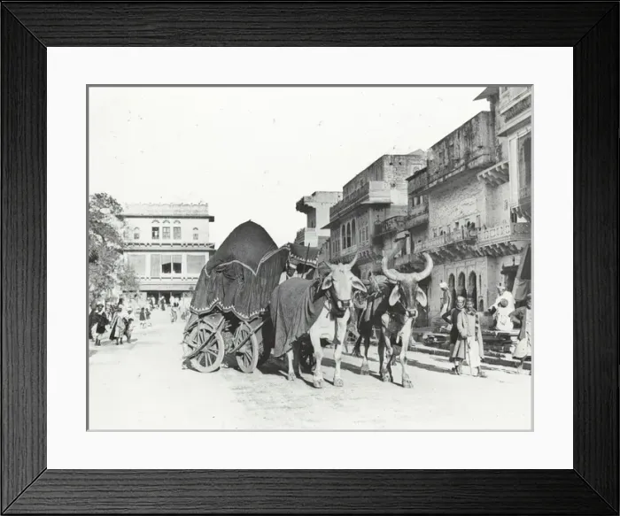 Framed Print : India - Merchante Street and canopied bullock carriage, Gwal Framed Print : India - Merchante Street and canopied bullock carriage, Gwal