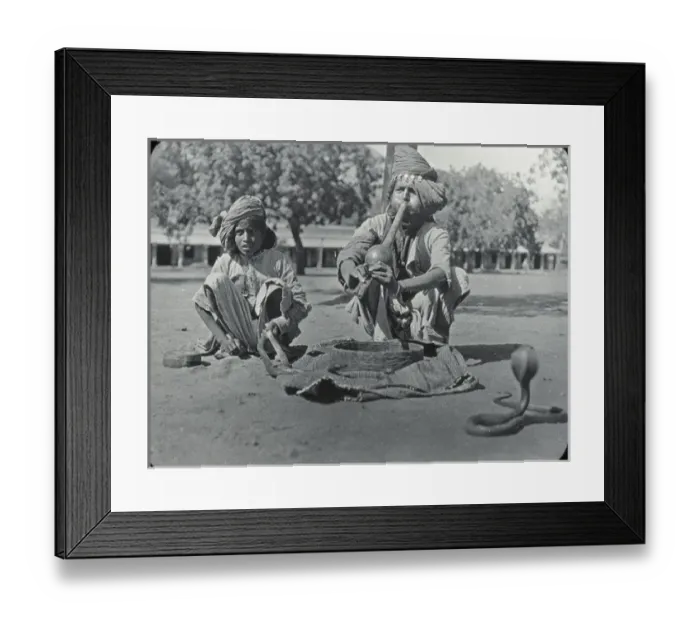 Framed Print : India - Snake Charmer and Cobras Framed Print : India - Snake Charmer and Cobras