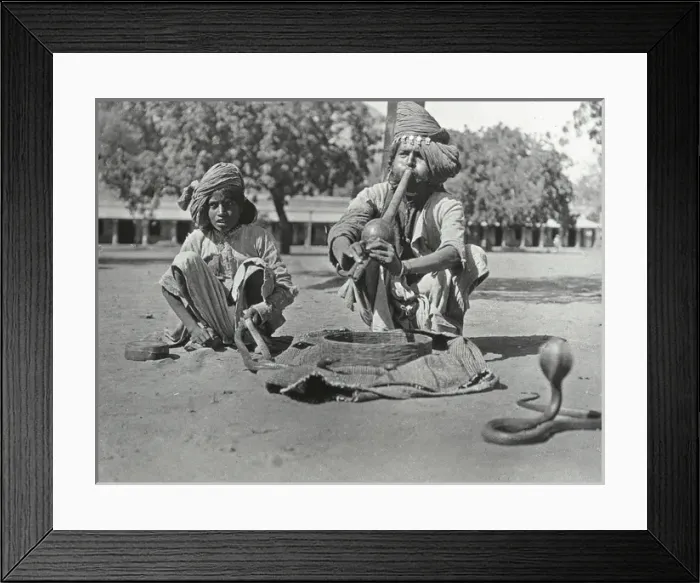 Framed Print : India - Snake-charmer and Cobras, Jeypore Framed Print : India - Snake-charmer and Cobras, Jeypore