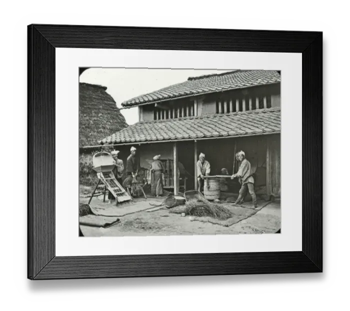 Framed Print : Japan - A Farmhouse : sifting and threshing rice Framed Print : Japan - A Farmhouse : sifting and threshing rice