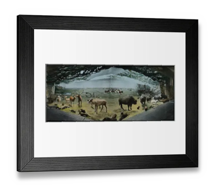 Framed Print : Display with Glass Barriers Framed Print : Display with Glass Barriers