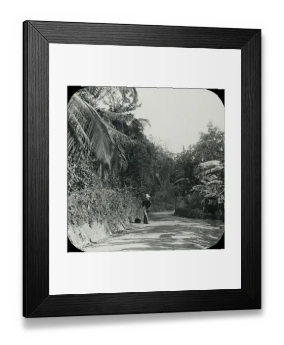 Framed Print : Jamaica - On the Road to Mandeville Porous Framed Print : Jamaica - On the Road to Mandeville Porous