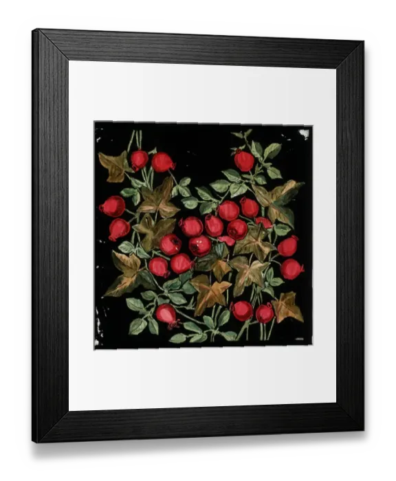 Framed Print : Berries and leaves Framed Print : Berries and leaves