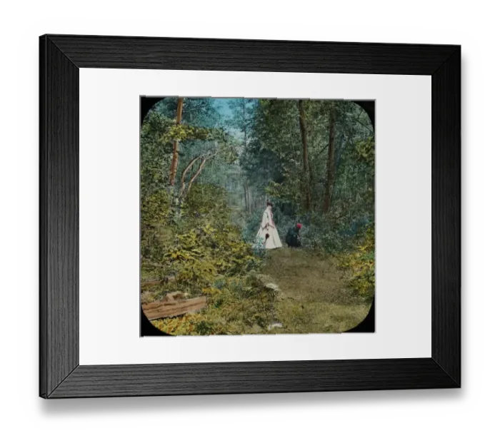 Framed Print : A stroll through the Woods at Lake George Framed Print : A stroll through the Woods at Lake George