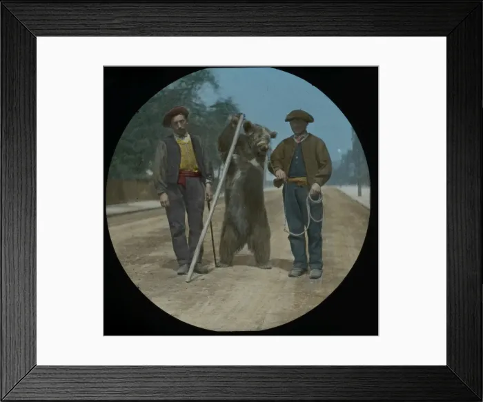 Framed Print : Performing Bear with Pole Framed Print : Performing Bear with Pole