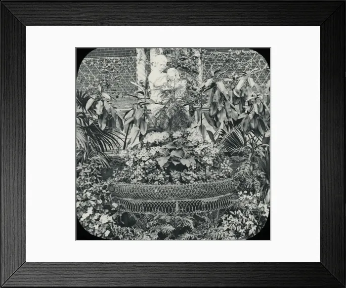 Framed Print : Royal Horticultural Society, Interior of Conservatory Framed Print : Royal Horticultural Society, Interior of Conservatory