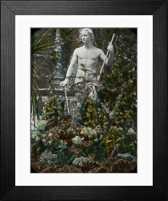 Framed Print : View in the Conservatory, Horticultural Gardens Framed Print : View in the Conservatory, Horticultural Gardens