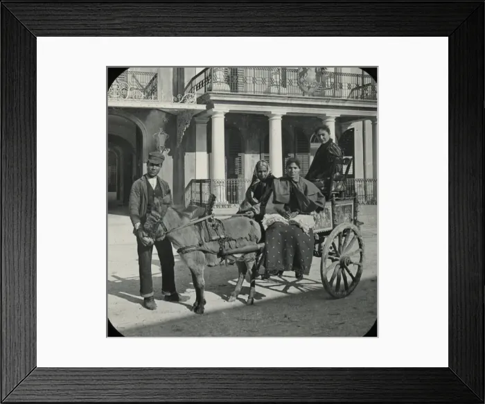 Framed Print : Sicily - Palermo Villa Flora Framed Print : Sicily - Palermo Villa Flora