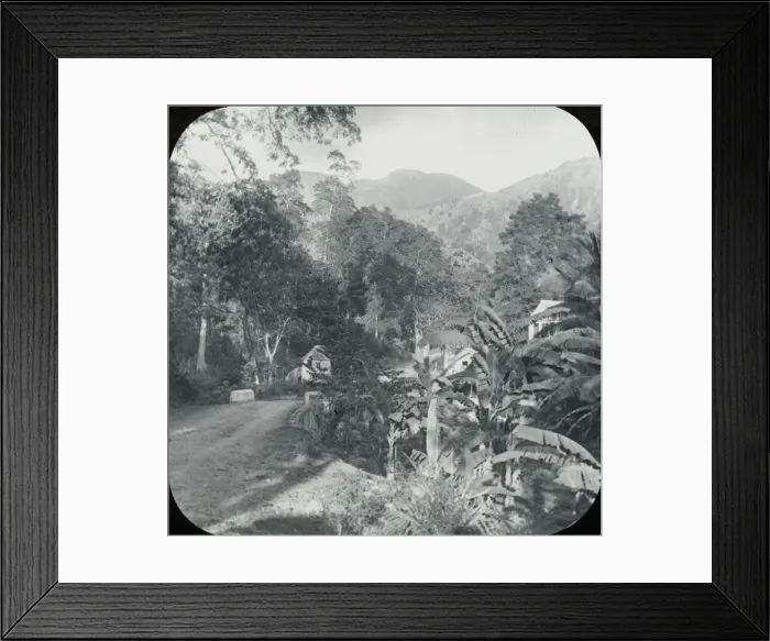 Framed Print : Jamaica - Gordons Town Framed Print : Jamaica - Gordons Town