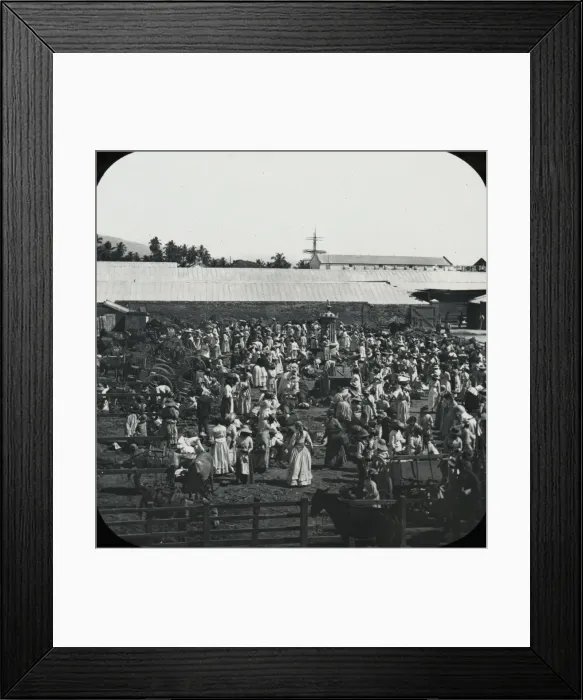 Framed Print : Jamaica - Victoria Market, Kingston Framed Print : Jamaica - Victoria Market, Kingston