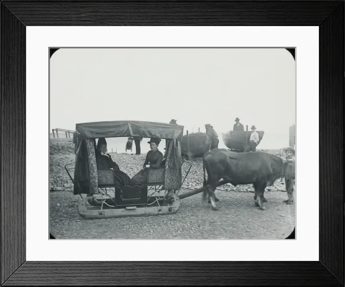 Framed Print : Madeira, A Bulllock Sleigh Framed Print : Madeira, A Bulllock Sleigh