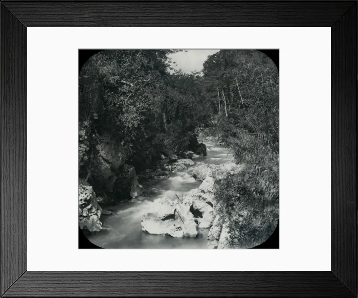 Framed Print : Jamaica - Bog Walk Framed Print : Jamaica - Bog Walk