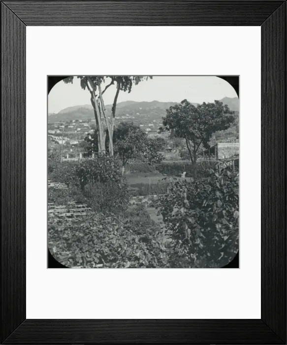 Framed Print : Madeira, view from the verandah of hotel Framed Print : Madeira, view from the verandah of hotel