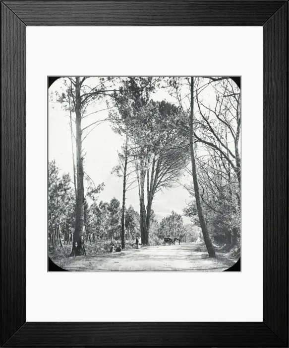 Framed Print : South Africa - Little Paradise, Wynberg Framed Print : South Africa - Little Paradise, Wynberg