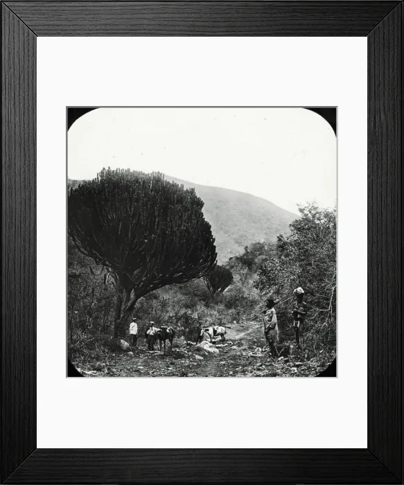 Framed Print : South Africa - Elephants Creek Framed Print : South Africa - Elephants Creek